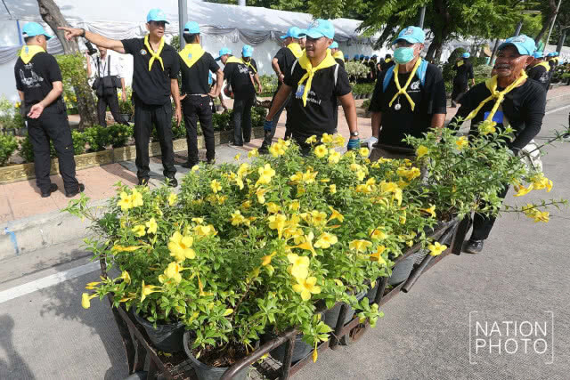 ภ.ป.ร. ราชวิทยาลัย รวมใจประดับต้นดาวเรือง และล้างทำความสะอาดลานพระราชวังดุสิต