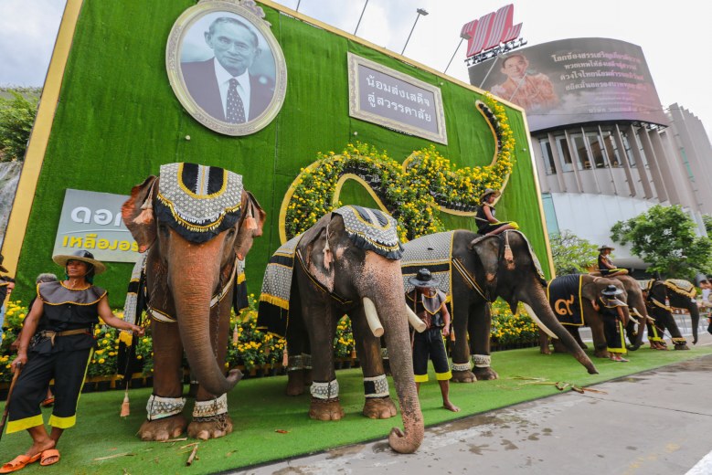 ช้างแฝดคู่แรกของโลกร่วมตักบาตรไว้อาลัย ส่งพ่อหลวงรัชกาลที่ 9 เสด็จสู่สวรรคาลัย