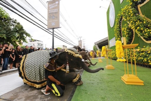 ช้างแฝดคู่แรกของโลกร่วมตักบาตรไว้อาลัย ส่งพ่อหลวงรัชกาลที่ 9 เสด็จสู่สวรรคาลัย