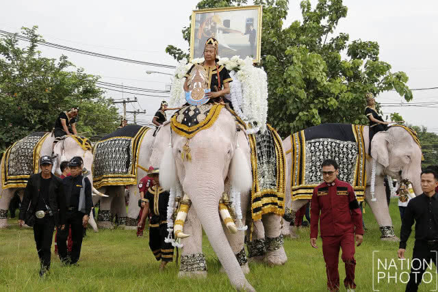 วังช้างอยุธยา แล เพนียด นำช้างจำนวน 9 เชือก ร่วมยืนถวายอาลัยเป็นเวลา 89 วินาที