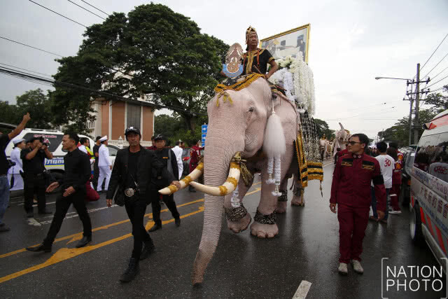 วังช้างอยุธยา แล เพนียด นำช้างจำนวน 9 เชือก ร่วมยืนถวายอาลัยเป็นเวลา 89 วินาที
