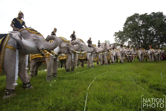 วังช้างอยุธยา แล เพนียด นำช้างจำนวน 9 เชือก ร่วมยืนถวายอาลัยเป็นเวลา 89 วินาที