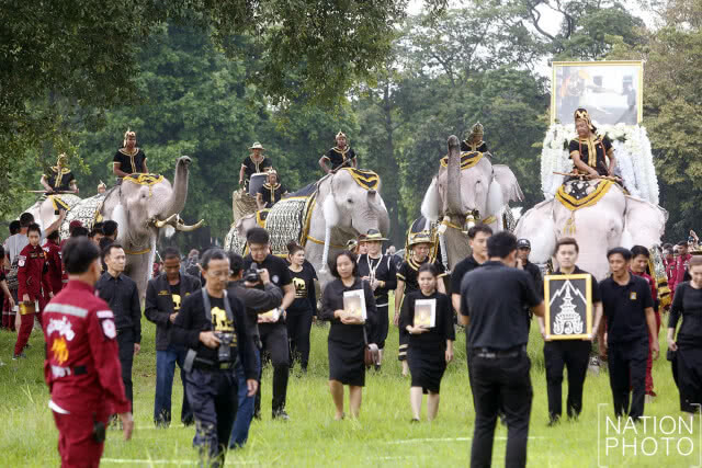 วังช้างอยุธยา แล เพนียด นำช้างจำนวน 9 เชือก ร่วมยืนถวายอาลัยเป็นเวลา 89 วินาที