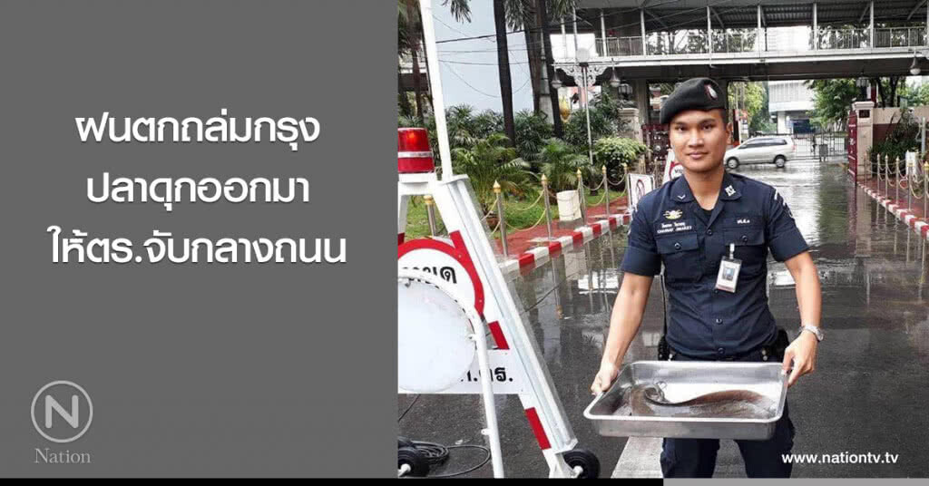 ฝนถล่มกรุง ปลาดุกออกมาให้ตร.จับกลางถนน