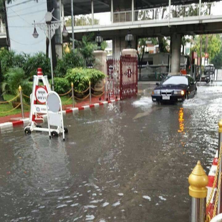 ฝนถล่มกรุง ปลาดุกออกมาให้ตร.จับกลางถนน