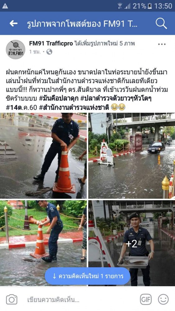 ฝนถล่มกรุง ปลาดุกออกมาให้ตร.จับกลางถนน