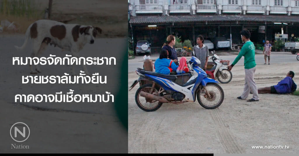 หมาจรจัดกัดกระชาก
ชายชราล้มทั้งยืน
คาดอาจมีเชื้อหมาบ้า