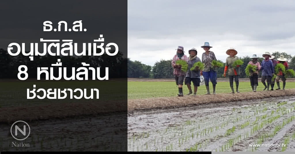 ธ.ก.ส.อนุมัติสินเชื่อ 8 หมื่นล้านช่วยชาวนา ธ.ก.ส.อนุมัติสินเชื่อ 8 หมื่นล้านช่วยชาวนา