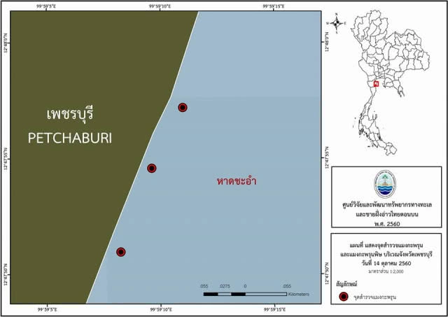 เร่งสำรวจแมงกะพรุน หาดชะอำ 
หลังนักท่องเที่ยวได้รับพิษ!
แนะวิธีปฐมพยาบาลเบื้องต้น