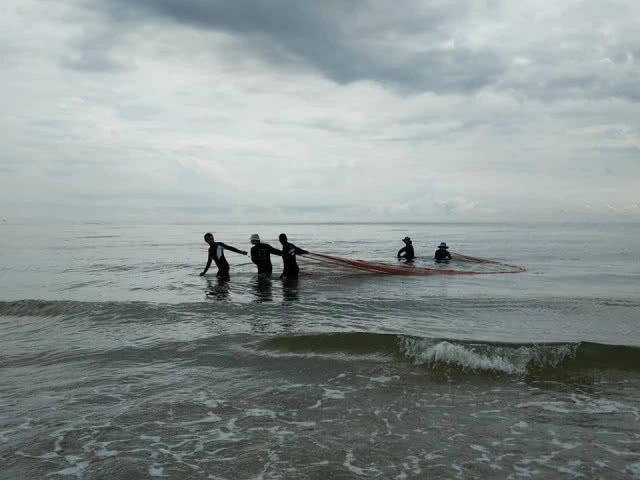 เร่งสำรวจแมงกะพรุน หาดชะอำ 
หลังนักท่องเที่ยวได้รับพิษ!
แนะวิธีปฐมพยาบาลเบื้องต้น