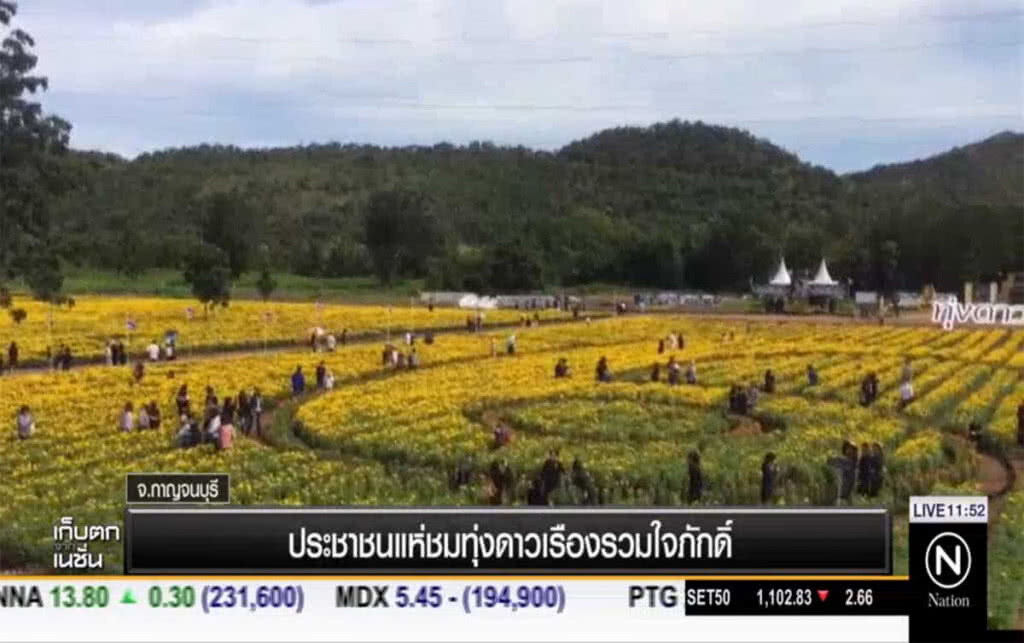 ปชช.แห่ชมทุ่งดาวเรืองรวมใจภักดิ์ ปชช.แห่ชมทุ่งดาวเรืองรวมใจภักดิ์