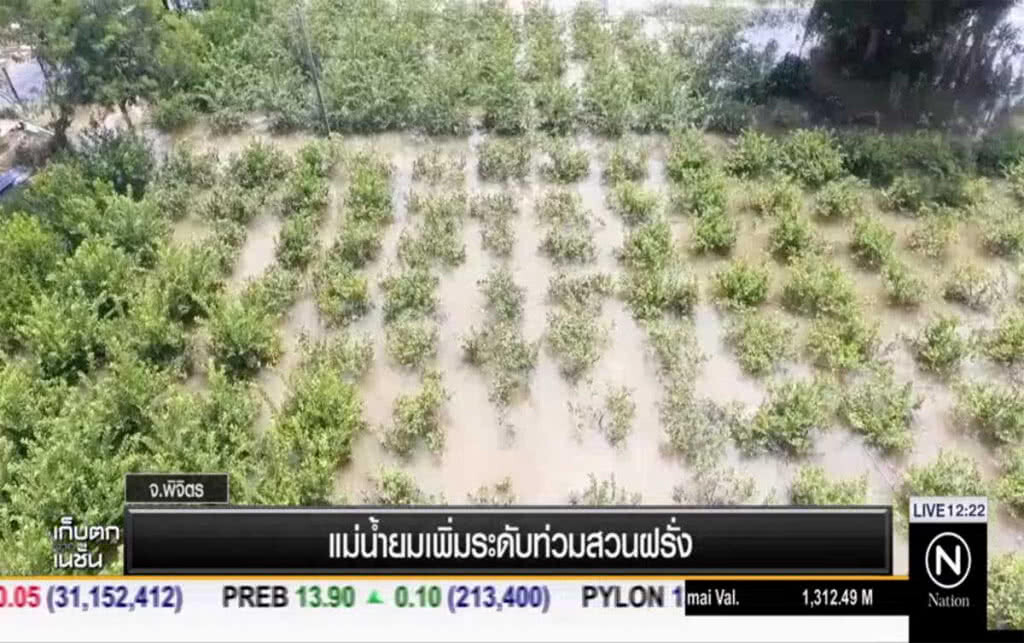 แม่น้ำยมเพิ่มระดับ ท่วมสวนฝรั่ง แม่น้ำยมเพิ่มระดับ ท่วมสวนฝรั่ง