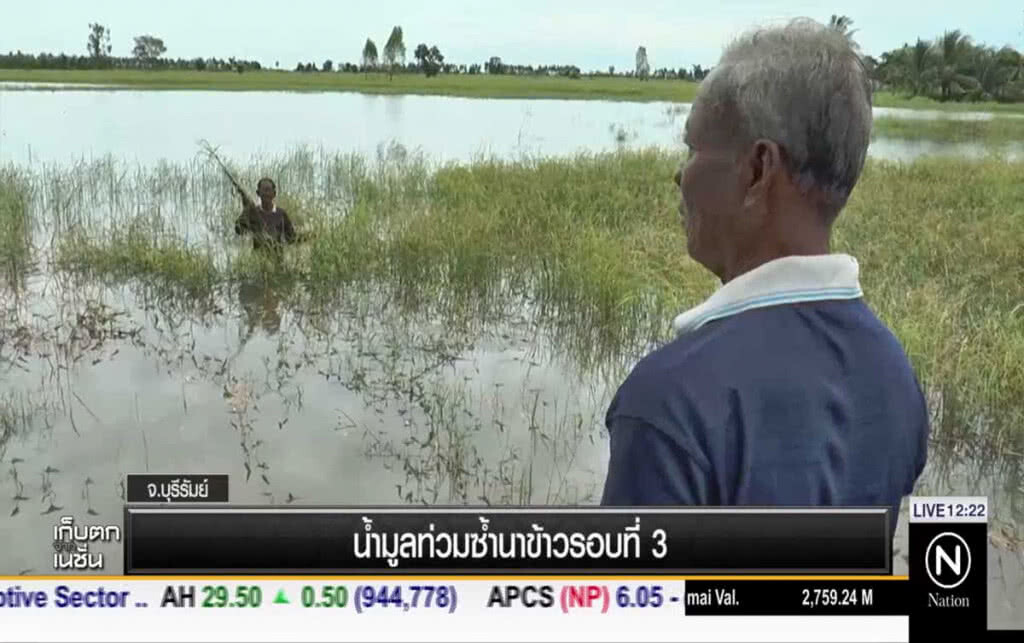 น้ำมูลท่วมนาข้าวรอบที่ 3 น้ำมูลท่วมนาข้าวรอบที่ 3
