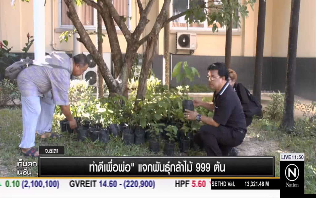 "ทำดีเพื่อพ่อ" แจกพันธุ์กล้าไม้ 999 ต้น "ทำดีเพื่อพ่อ" แจกพันธุ์กล้าไม้ 999 ต้น