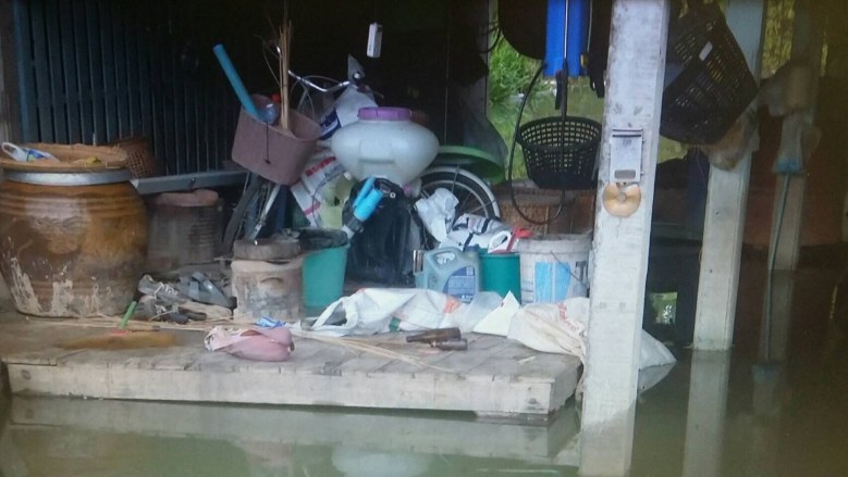 พิจิตร-แม่น้ำยมล้นท่วมบ้าน-โรงเรียน