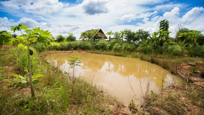 ลุงแสวงผู้มั่งคั่ง(ความสุข) ด้วย "ศาสตร์พระราชา"