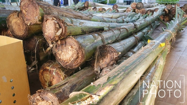 สมเด็จพระเทพฯ เสด็จพิธีบวงสรวงเครื่องสดประดับพระจิตกาธาน