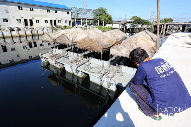 ตรวจสอบ-ทดสอบเรือผลักดันน้ำ 12 ลำ ที่ติดตั้งในคลองลาดพร้าว