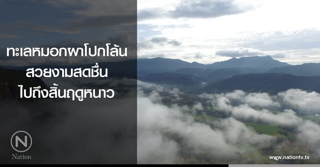 ทะเลหมอกผาโปกโล้น สวยงามสดชื่นไปถึงสิ้นฤดูหนาว