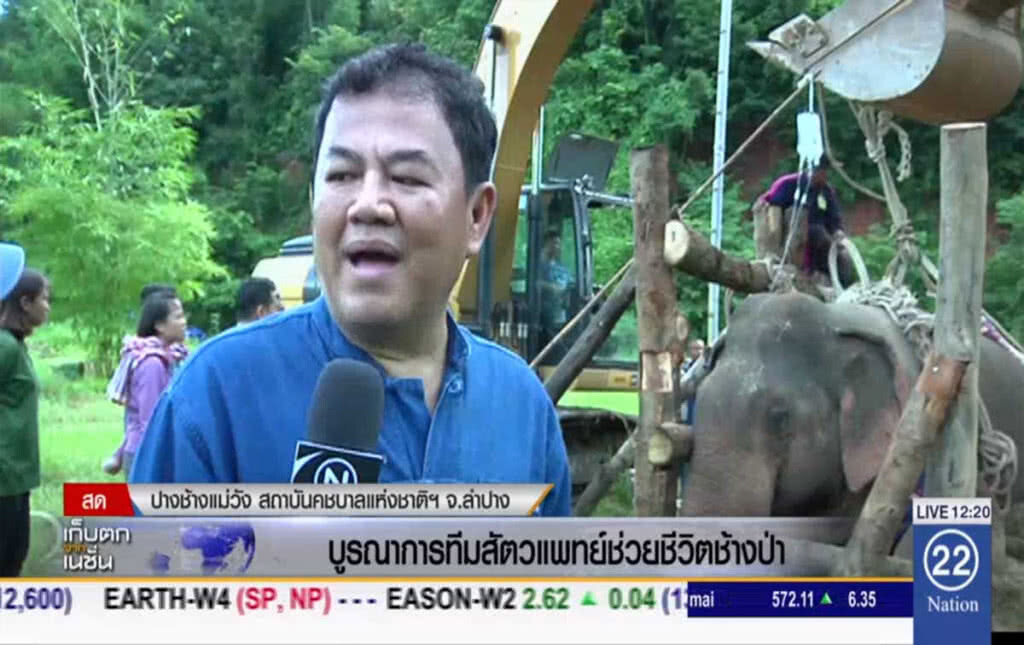 บูรณาการทีมสัตวแพทย์ ช่วยชีวิตช้างป่า บูรณาการทีมสัตวแพทย์ ช่วยชีวิตช้างป่า