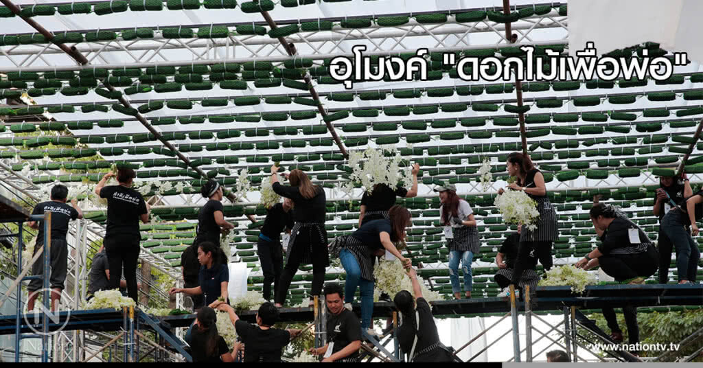(ภาพชุด)ชาวปากคลองตลาด ร่วมใจประดับอุโมงค์ "ดอกไม้เพื่อพ่อ" (ภาพชุด)ชาวปากคลองตลาด ร่วมใจประดับอุโมงค์ "ดอกไม้เพื่อพ่อ"