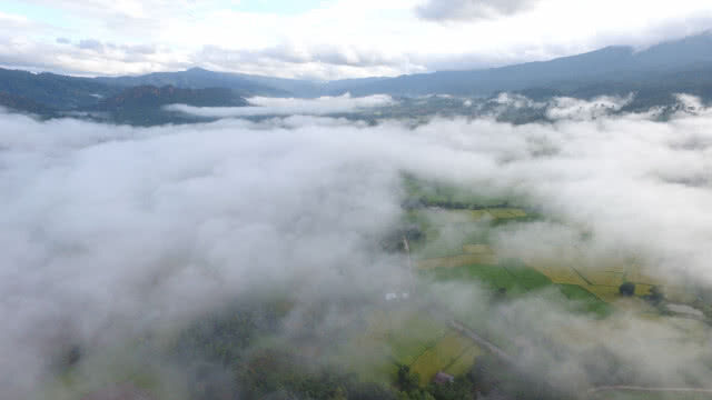 ทะเลหมอกผาโปกโล้น สวยงามสดชื่นไปถึงสิ้นฤดูหนาว