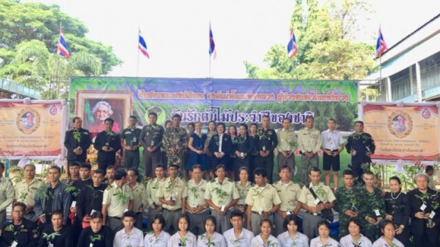 กรมป่าไม้ สนองพระราชปณิธานดูแลต้นสนฉัตร ทรงปลูก