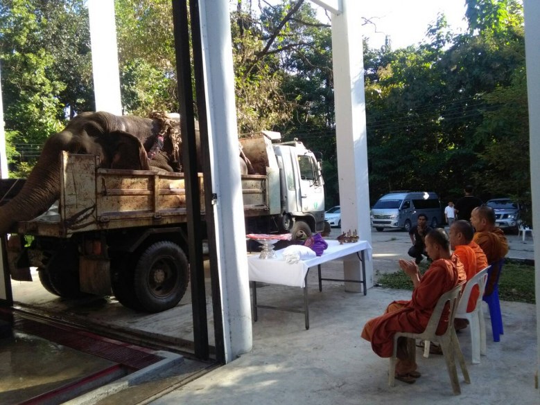 ประกอบพิธีอุทิศส่วนกุศล - วางผ้าบังสุกุลให้ "พลายชมภู"