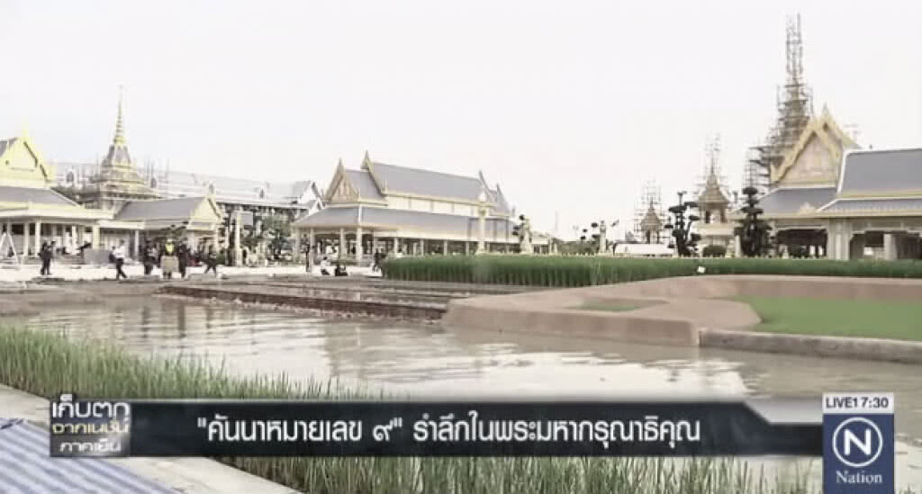 "คันนาหมายเลข ๙" รำลึกในพระมหากรุณาธิคุณ
