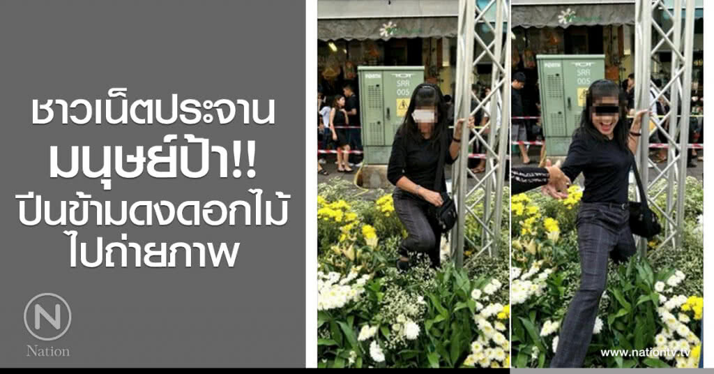 ชาวเน็ตประจาน
มนุษย์ป้า!!
ปีนข้ามดงดอกไม้
ไปถ่ายภาพ ชาวเน็ตประจาน
มนุษย์ป้า!!
ปีนข้ามดงดอกไม้
ไปถ่ายภาพ