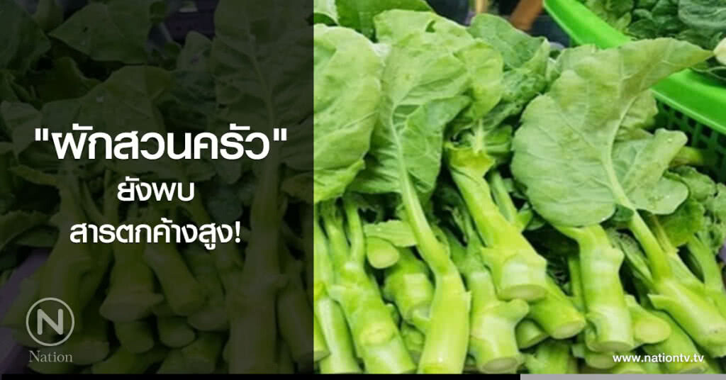 "ผักสวนครัว"ยังพบ
สารตกค้างสูง! "ผักสวนครัว"ยังพบ
สารตกค้างสูง!