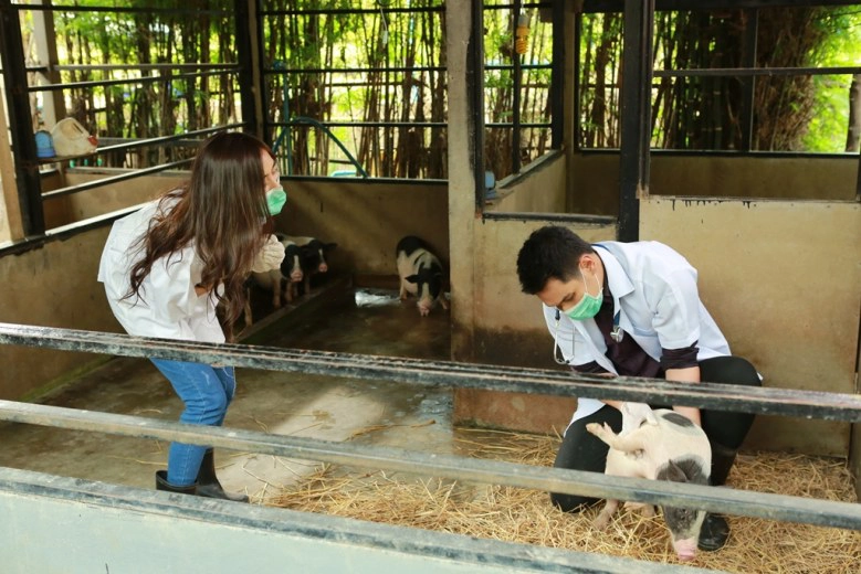 'อ๋อม-นิว-เซฟ' น้อมนำทุกคำสอนของในหลวงร.9 ผ่านละครเทิดพระเกียรติชุด "ใต้ร่มพระบารมี"