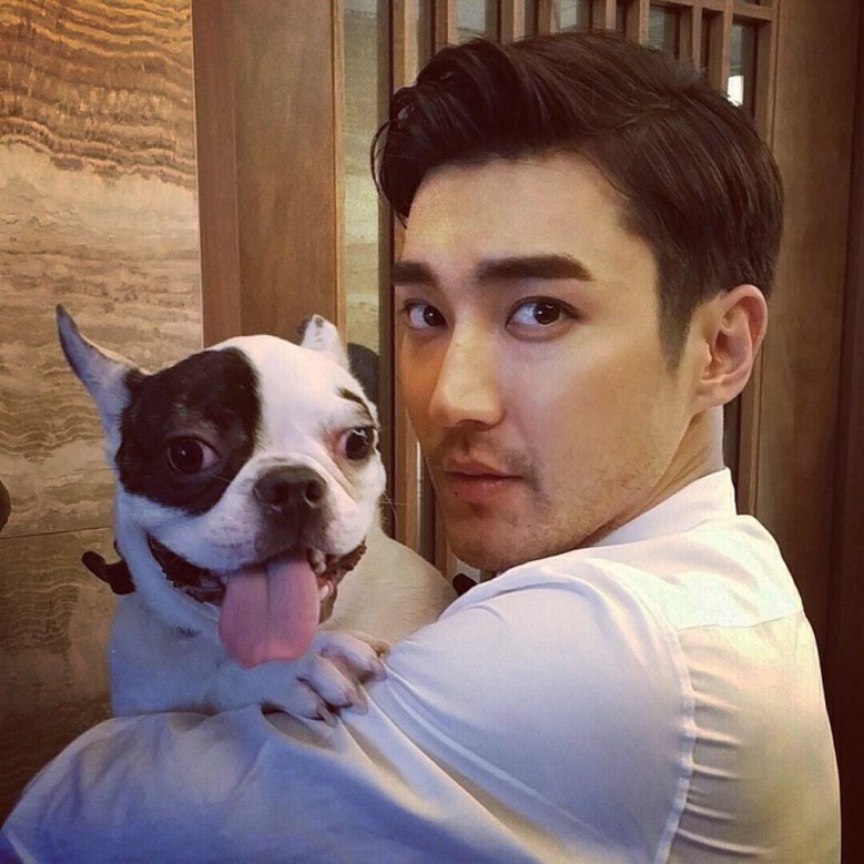 ปรับครอบครัว "ชีวอน ซูเปอร์จูเนียร์" เหตุไม่ใช้สายจูงสุนัข
