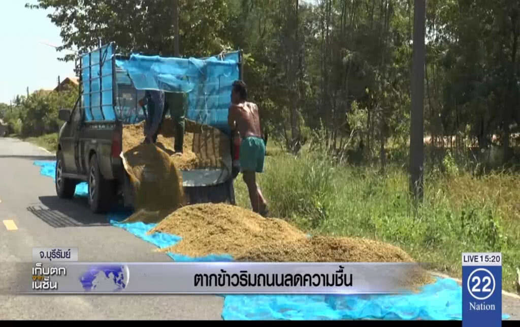 ตากข้าวริมถนนลดความชื้น ตากข้าวริมถนนลดความชื้น