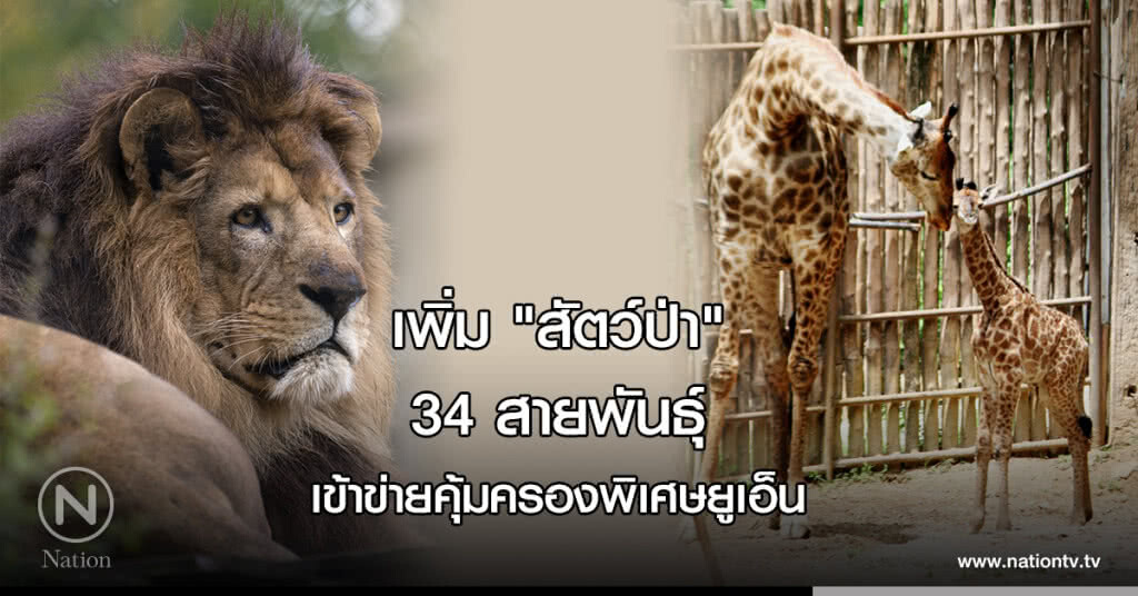 เพิ่ม "สัตว์ป่า" 34 สายพันธุ์ เข้าข่ายคุ้มครองพิเศษยูเอ็น