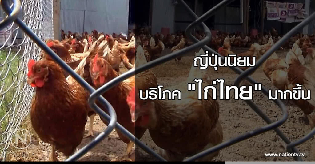 ญี่ปุ่นนิยมบริโภค "ไก่ไทย" มากขึ้น ญี่ปุ่นนิยมบริโภค "ไก่ไทย" มากขึ้น
