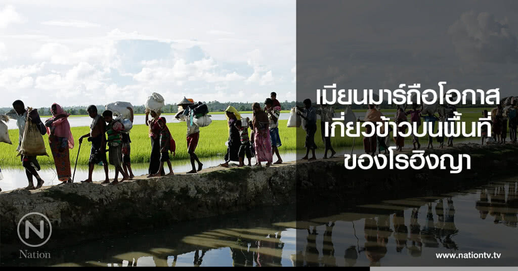 เมียนมาร์ถือโอกาสเกี่ยวข้าว บนพื้นที่ของโรฮิงญา