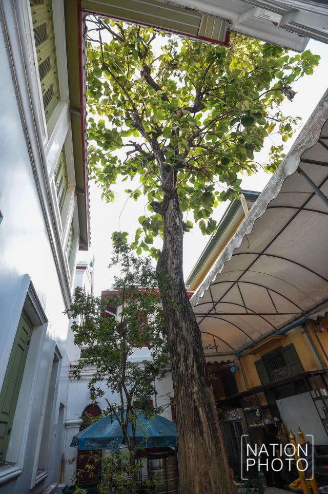 พระบรมราชสรีรางคาร ร.๙ 
บรรจุ ณ พระพุทธอังคีรส วัดราชบพิธฯ 
และ พระพุทธชินสีห์ วัดบวรนิเวศวิหาร