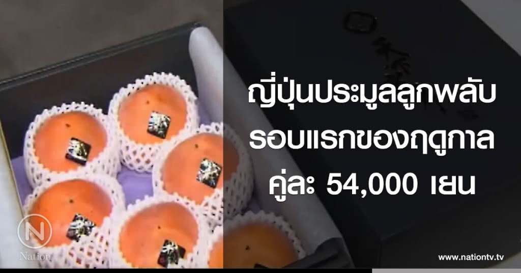 ญี่ปุ่นประมูลลูกพลับรอบแรกของฤดูกาล คู่ละ 54,000 เยน ญี่ปุ่นประมูลลูกพลับรอบแรกของฤดูกาล คู่ละ 54,000 เยน