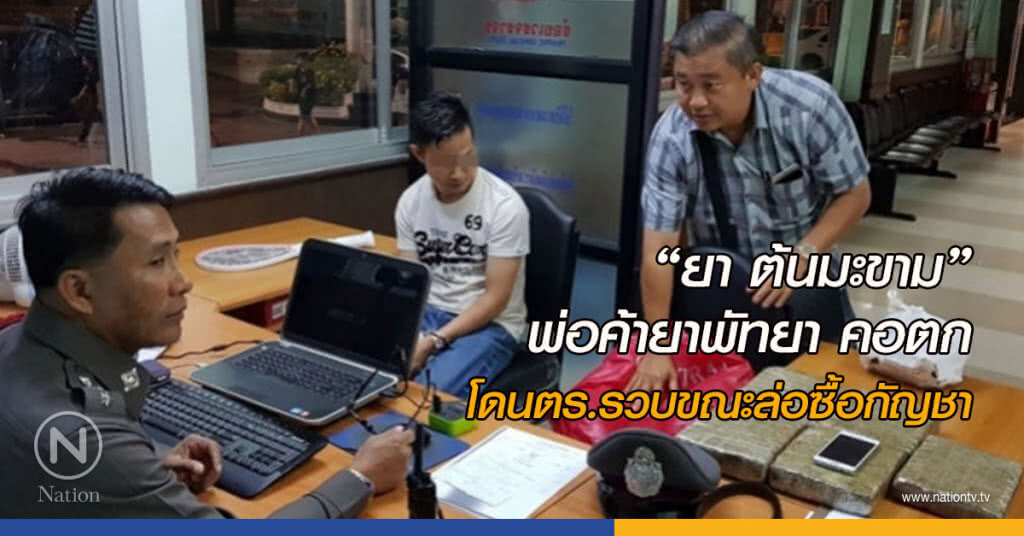 "ยา ต้นมะขาม"พ่อค้ายาเมืองพัทยาคอตกโดนตร.รวบขณะล่อซื้อกัญชา "ยา ต้นมะขาม"พ่อค้ายาเมืองพัทยาคอตกโดนตร.รวบขณะล่อซื้อกัญชา