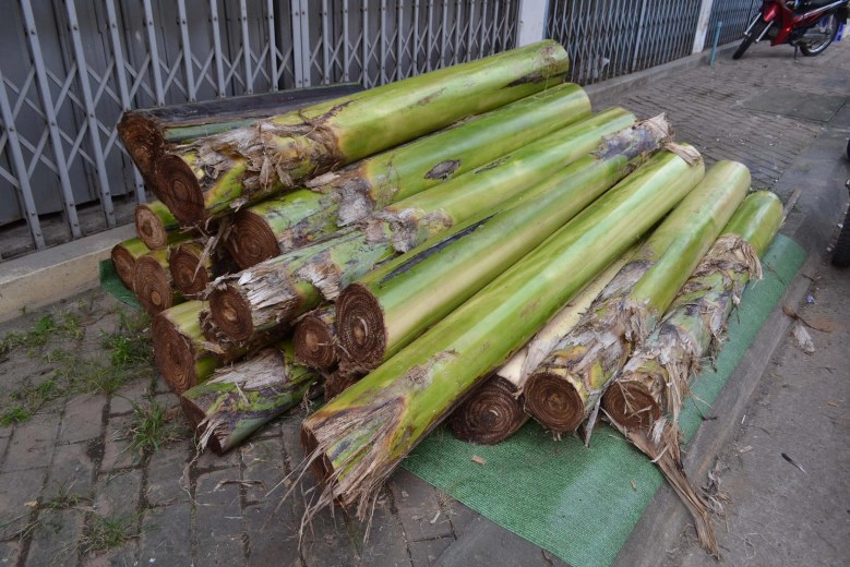 พิษน้ำท่วม!! "ต้นกล้วย-ใบตอง"ปรับราคาขึ้น