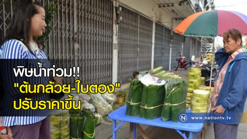 พิษน้ำท่วม!! "ต้นกล้วย-ใบตอง"ปรับราคาขึ้น