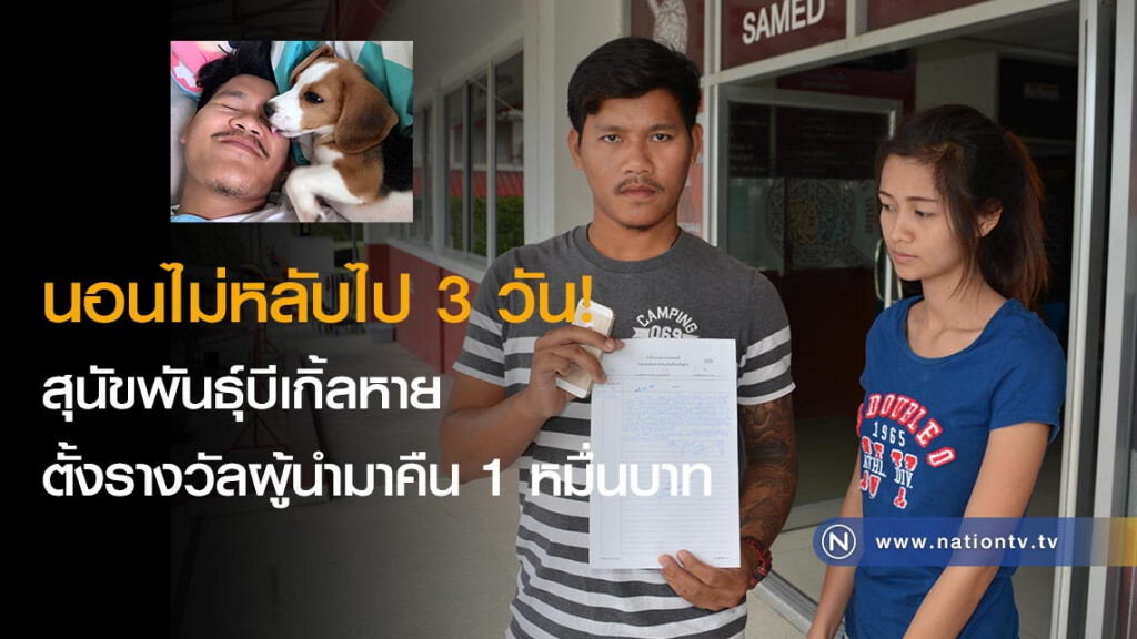 นอนไม่หลับไป 3 วัน! สุนัขพันธุ์บีเกิ้ลหาย ตั้งรางวัลผู้นำมาคืน 1 หมื่นบาท นอนไม่หลับไป 3 วัน! สุนัขพันธุ์บีเกิ้ลหาย ตั้งรางวัลผู้นำมาคืน 1 หมื่นบาท