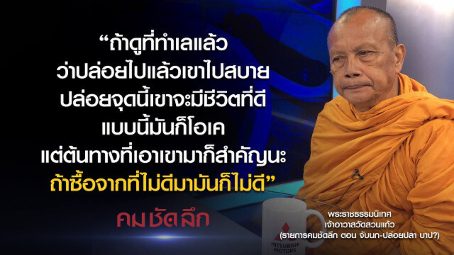 คม-ชัด-ลึก จับนก-ปล่อยปลา บาป?