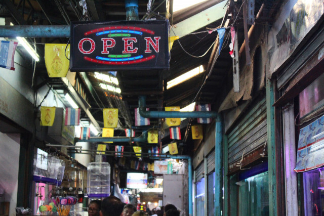 10 อันดับสัตว์ป่า ที่ลักลอบซื้อขายมากที่สุด ในสามเหลี่ยมทองคำ