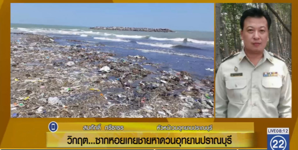 วิกฤต...ขยะนับ 100 ตันและซากหอยมหาศาลเกยหาดปราณบุรี