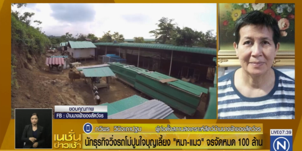 บ้านนางฟ้า...ควักร้อยล้าน เลี้ยงหมา-แมว จรจัด วอนคนใจบุญช่วยเหลือ บ้านนางฟ้า...ควักร้อยล้าน เลี้ยงหมา-แมว จรจัด วอนคนใจบุญช่วยเหลือ