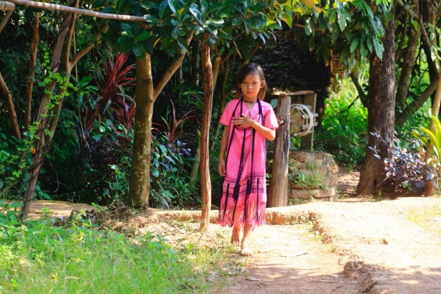 ชนเผ่าปกาเกอะญอ อัตลักษณ์ชาติพันธุ์แห่งลำพูน