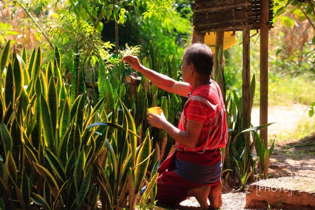 ชนเผ่าปกาเกอะญอ อัตลักษณ์ชาติพันธุ์แห่งลำพูน