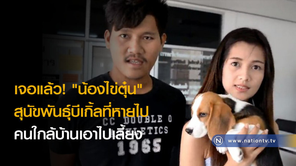 เจอแล้ว! "น้องไข่ตุ๋น" สุนัขพันธุ์บีเกิ้ลที่หายไป คนใกล้บ้านเอาไปเลี้ยง